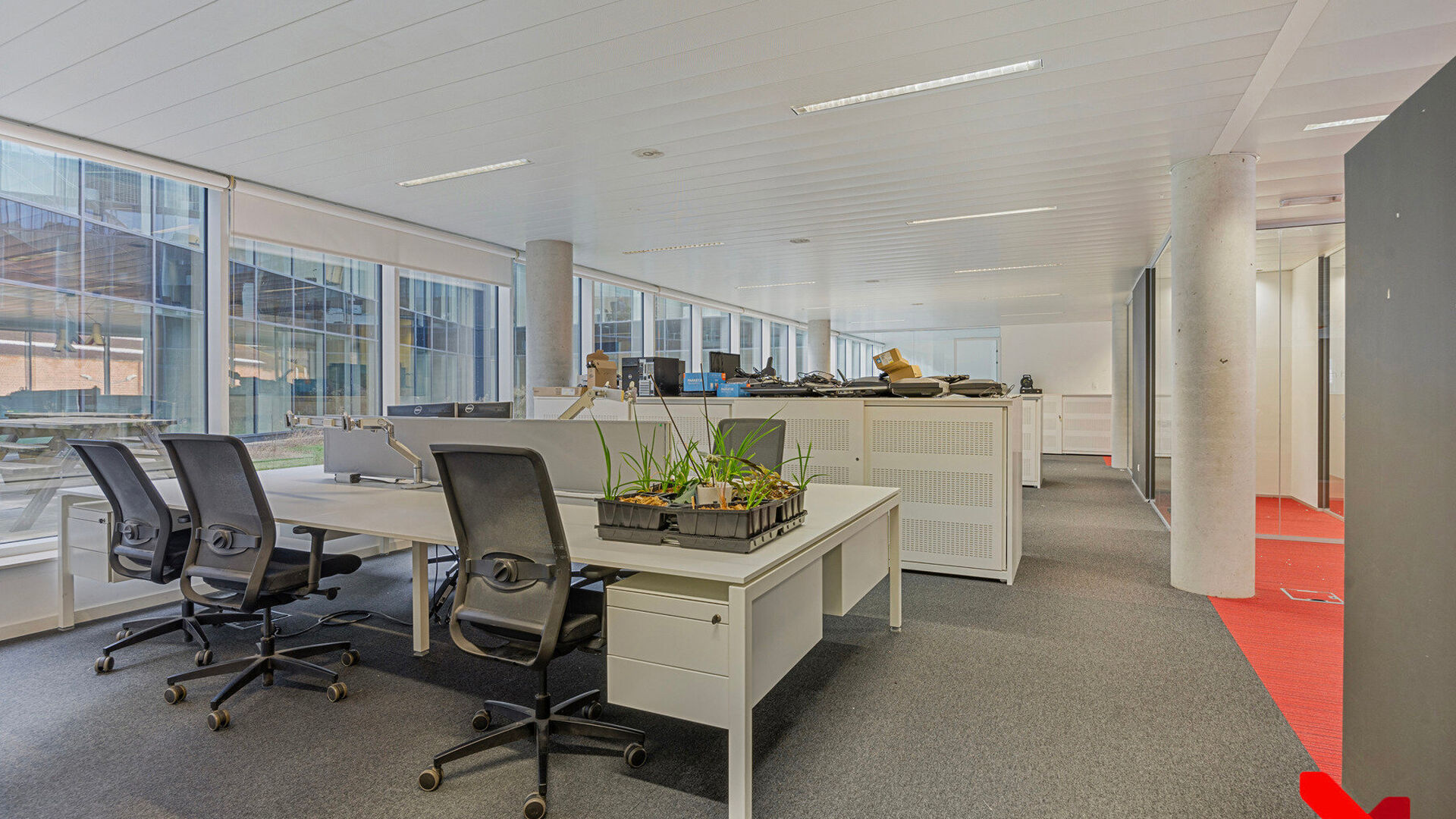 Offices for rent in Leuven